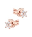 Elegant Star Silver Stud Earring STS-6812